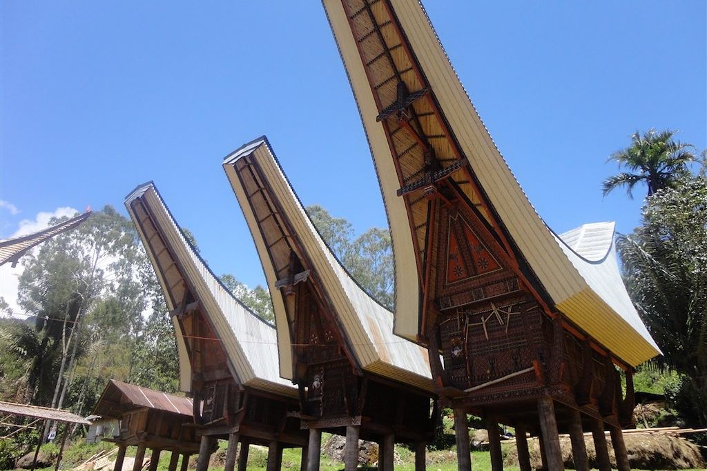 Voyage De Toraja à Bunaken, l'essentiel de Sulawesi  2