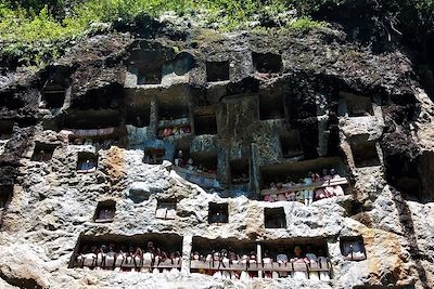 Voyage De Bali à Sulawesi, Contrastes et Cultures 2