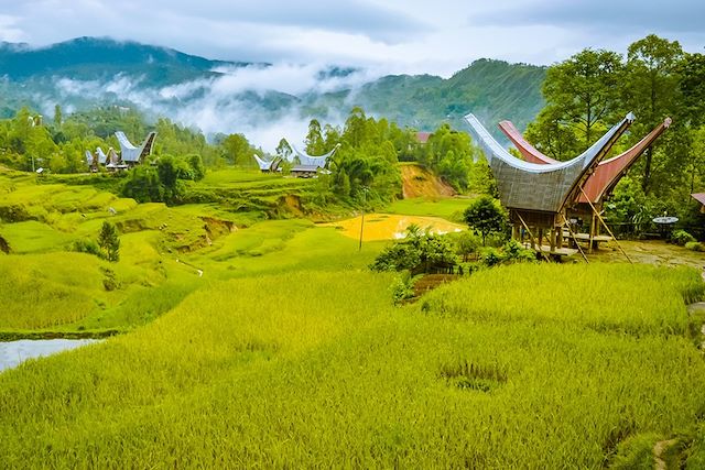 Voyage De Bali à Sulawesi, Contrastes et Cultures