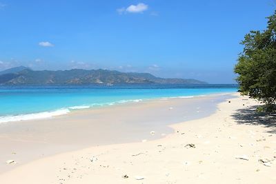 Voyage Bali en famille, entre Ubud et les îles Gili 1