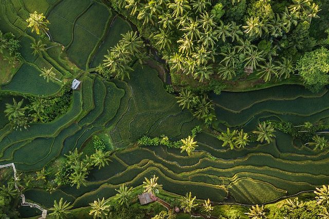 Voyage Bali en famille, entre Ubud et les îles Gili