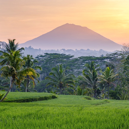 Découverte Indonésie Bali