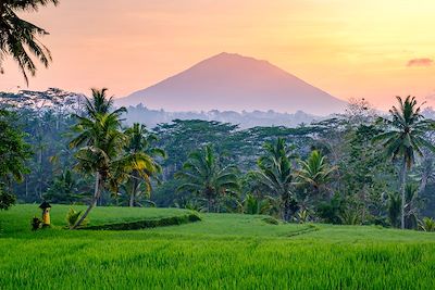 Voyage Grande traversée de Bali 1