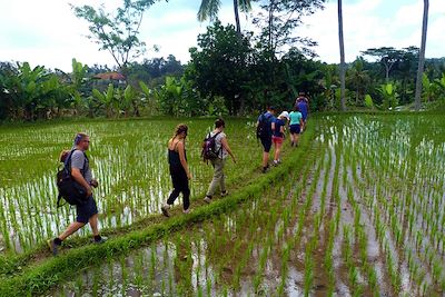 © Aurore Guettier - INOF01 - Bali - Indonésie INOF01 - Bali - Indonésie