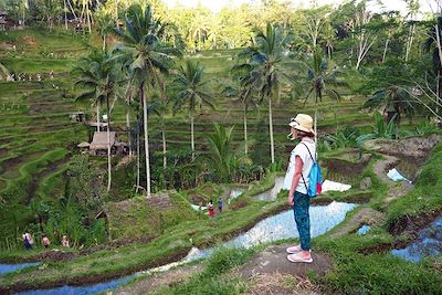 © Marie Astrid Peltier - Rizières près d'Ubud - Bali - Indonésie Rizières près d'Ubud - Bali - Indonésie