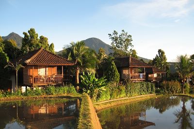 Voyage Bali, rizières, mer et volcans 2