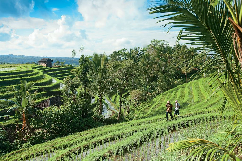 Voyage Des volcans de Java aux rizières de Bali 3