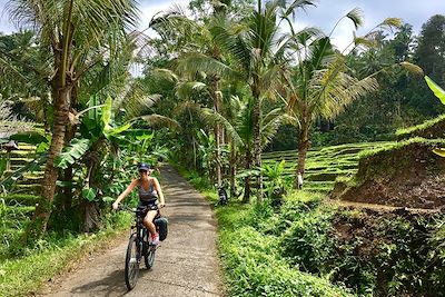 Voyage Balade balinaise et plages de Gili 3