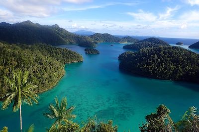 Îles Raja Ampat - Indonésie