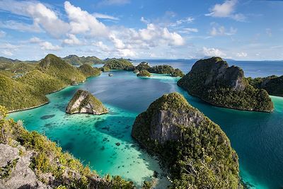 Ile Wayag dans les Raja Ampat en Papouasie - Indonésie 