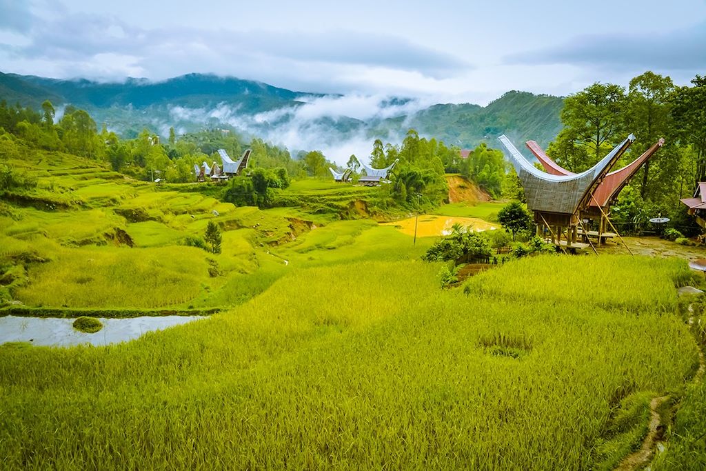 Voyage Balade sulawesienne 3