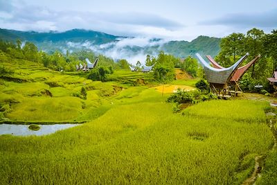 Voyage Balade sulawesienne 3