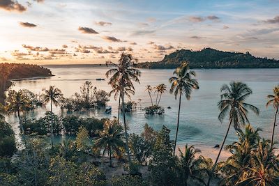 Voyage Les Raja Ampat, paradis du bout du monde  2