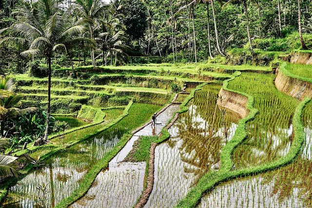 Voyage Aventures et nature en famille à Bali