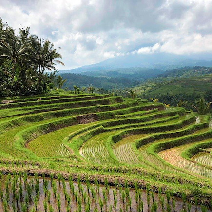Découverte Indonésie Bali