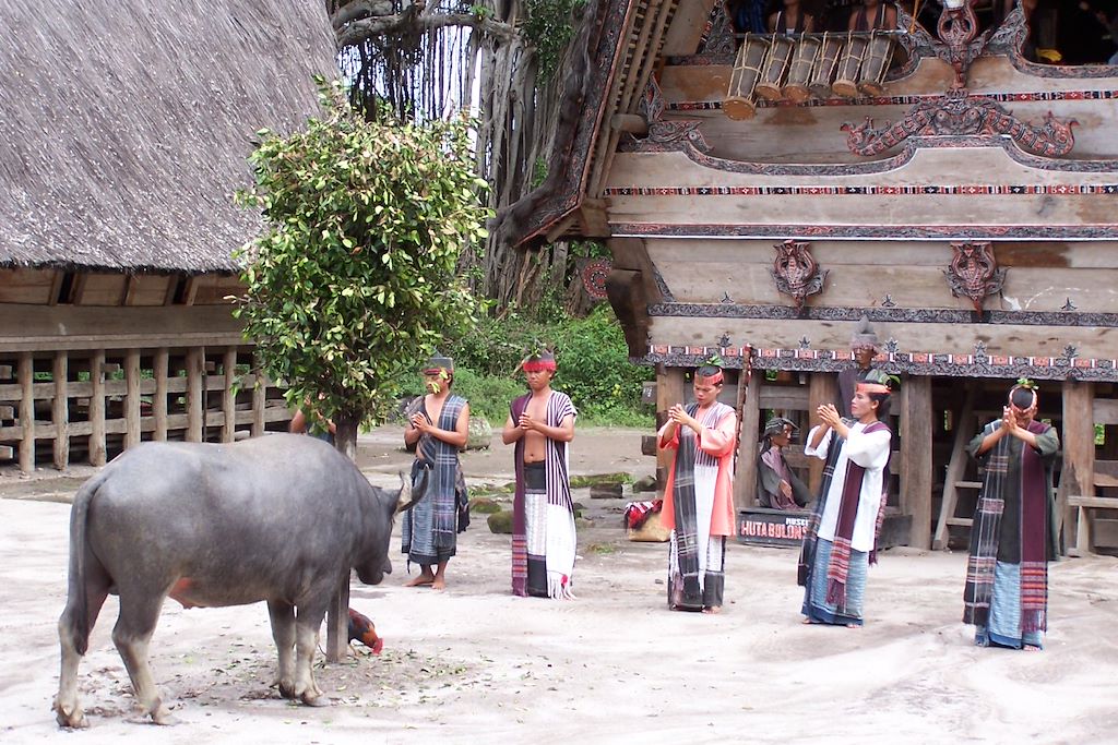 Image Randonnée parc national Gunung Leuser - Ascension volcan Sibayak - Culture Batak Lac Toba