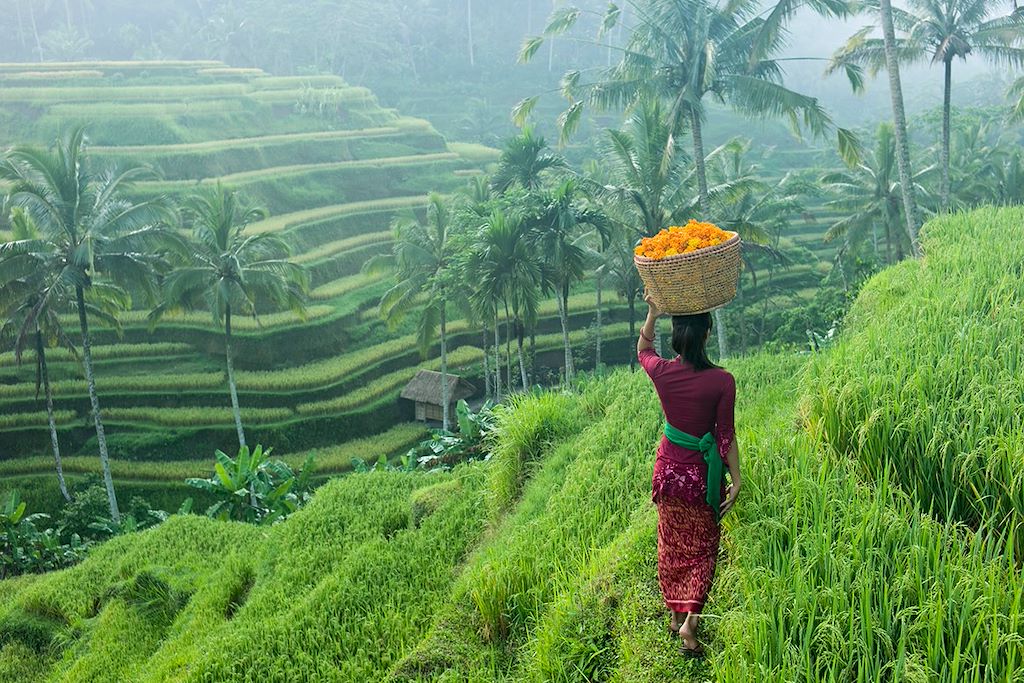 Image Voyage à vélo - Sud de Bali et Îles Gili