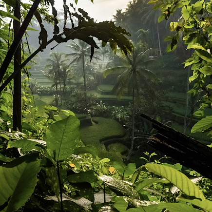 Vélo Indonésie Bali