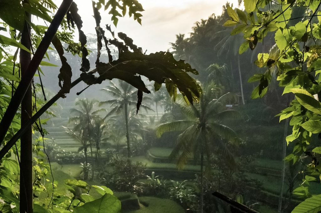 Image Voyage à vélo - Sud de Bali et Îles Gili