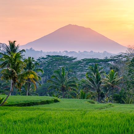 Trek Indonésie Lombok