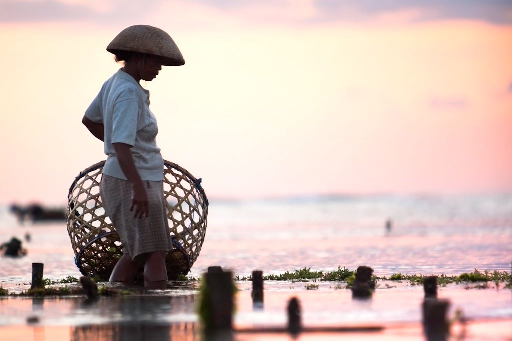 Image Randonnée Bali - Trek Bali - Ascension Batur - Snorkeling Amed - Nuit Chez Habitant Ubud