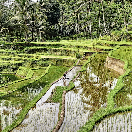 Découverte Indonésie Bali