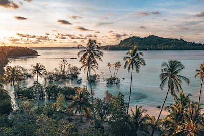 Un été aux Raja Ampat