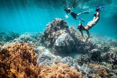 © Steve Woods Photography / Getty Images - Snorkeling - Raja Ampat - Indonésie Snorkeling - Raja Ampat - Indonésie