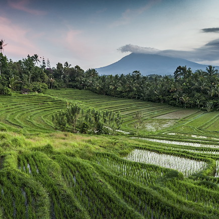 Randonnée Indonésie Bali