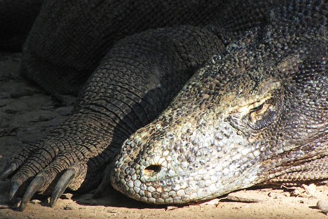 Voyage L'Indonésie au fil de l'eau