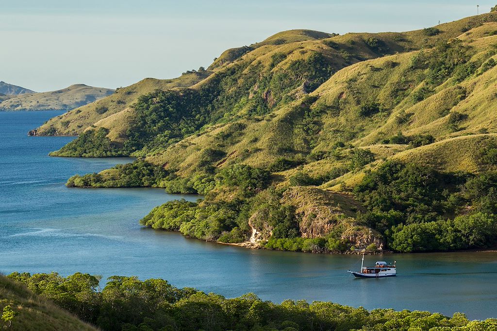 Image Croisière Bali - Randonnée Ubud - Volcan Batur - Dragons De Komodo - Snorkeling îles