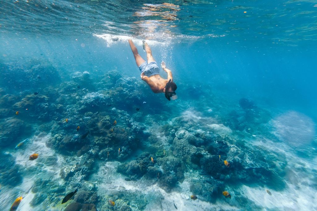 Image Croisière Bali - Randonnée Ubud - Volcan Batur - Dragons De Komodo - Snorkeling îles