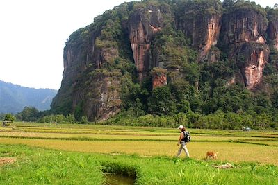 Trek dans la vallée Harau - Sumatra - Indonésie