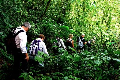 Entre Puncak Lawang et le lac Maninjau - Sumatra - Indonésie