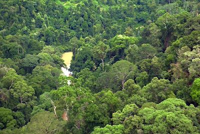 Rivière - Bornéo - Malaisie