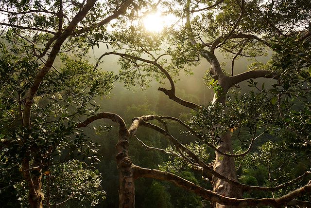 Voyage Peuple Mentawai et jungle de Sumatra