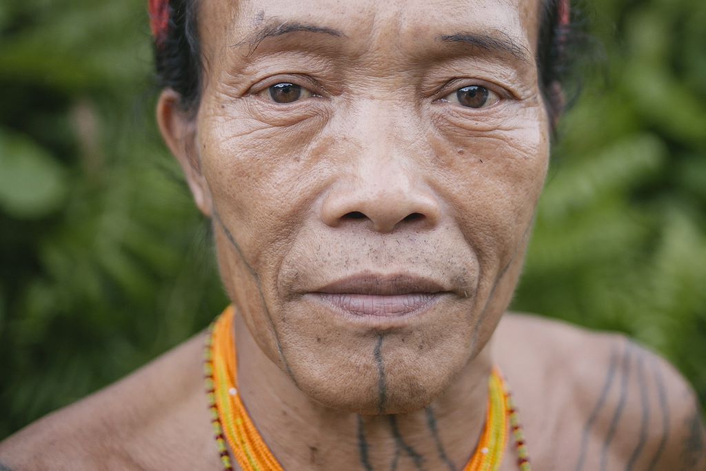 Image Orangs Outans Gunung Leuser - Randonnée Jungle Bukit Lawang - Nuit Chez L'Habitant Siberut