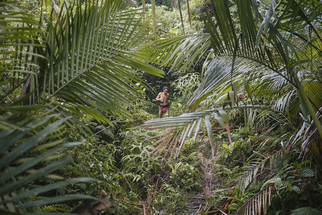 Image Orangs Outans Gunung Leuser - Randonnée Jungle Bukit Lawang - Nuit Chez L'Habitant Siberut