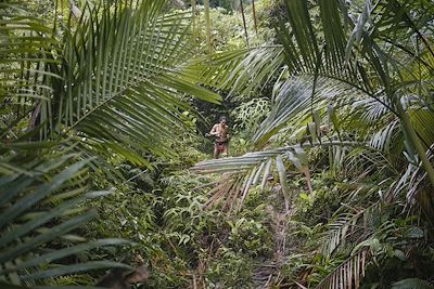 Mentawaï - Ile de Siberut - Sumatra - Indonésie