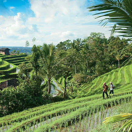 Découverte Indonésie Bali