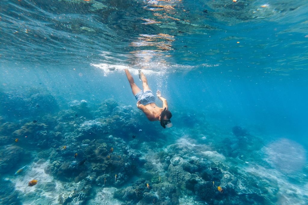 Image Découverte De Yogyakarta - Volcan Bromo Kawah Ijen Batur - Randonnée Ubud - Snorkeling Amed