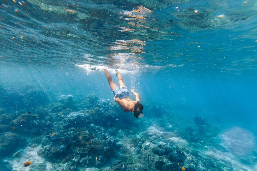Image Snorkeling Gili - Plage Amed - Volcan Batur - Randonnée Rizières - Activités Ubud
