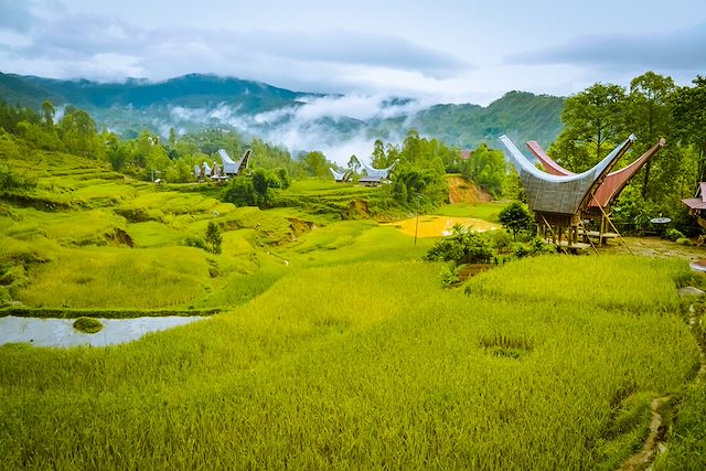Voyage Balade sulawesienne