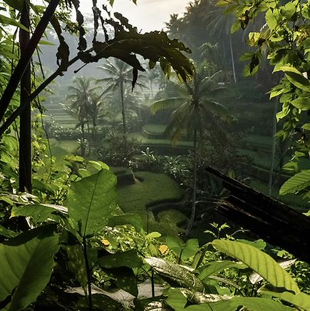 Vélo Indonésie Bali