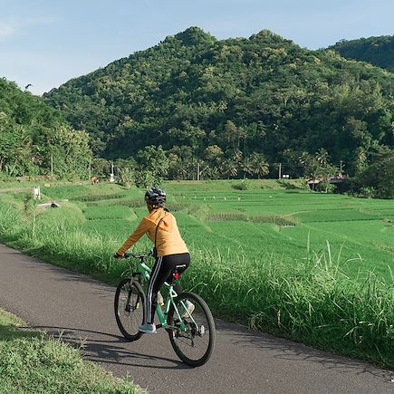 Vélo Indonésie Bali