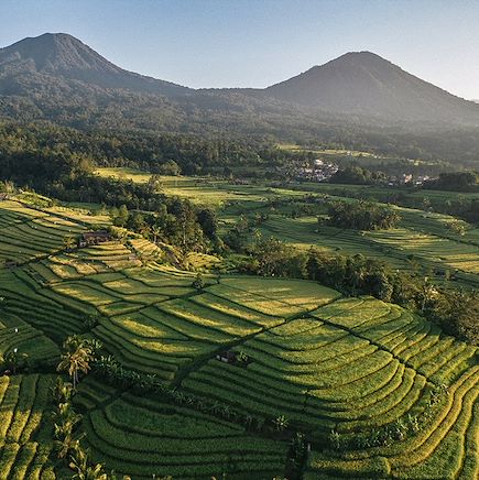 Vélo Indonésie Bali