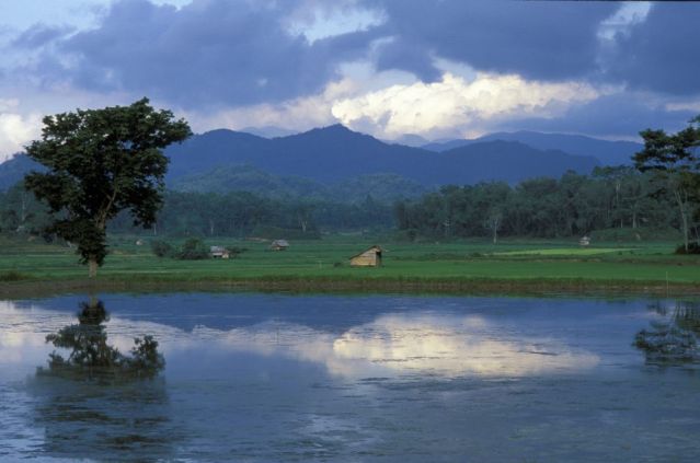 Image De Toraja à Bunaken, l'essentiel de Sulawesi