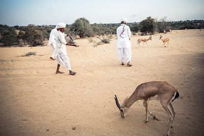 © Franck Vogel - Les Bishnois dans le désert du Thar - Inde Les Bishnois dans le désert du Thar - Inde