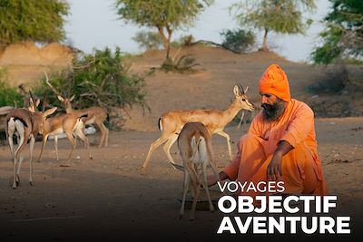 © Franck Vogel - Chez les Bishnois - Inde Chez les Bishnois - Inde