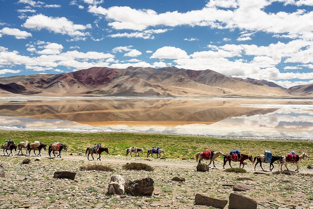 Caravane dans la haute plaine du Tso Kar - Ladakh - Inde